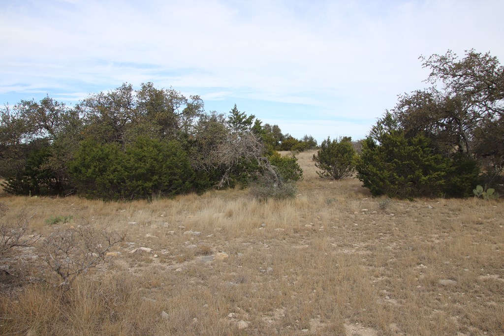 Lot 11 Other Rocksprings, TX 78880 - Photo 7 of 10
