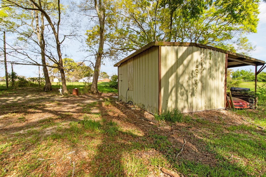 158 Brown Road Clio, AL 36017 - Photo 45 of 75