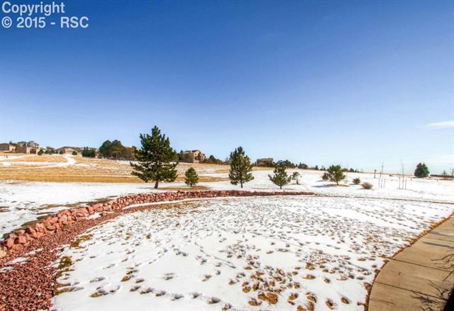 1085 Bowstring Road Monument, CO 80132 - Photo 23 of 28 Backyard - backs to open space