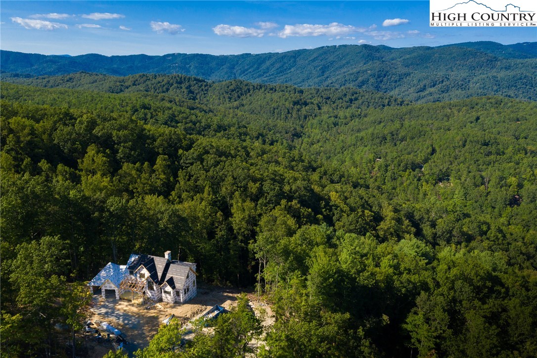 1515 Goldenrod Road Boone, NC 28607 - Photo 3 of 40