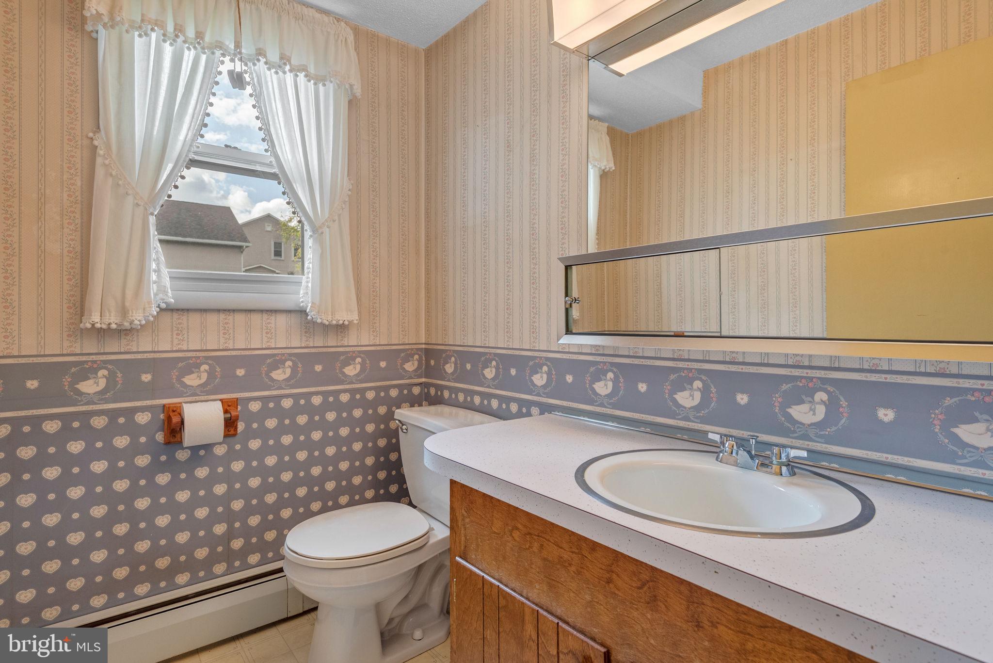 1818 Roxboro Road York, PA 17402 - Photo 12 of 39 a bathroom with a sink a toilet and a mirror