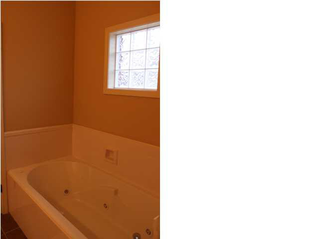 141 Ridgefield Drive Madison, MS 39110 - Photo 11 of 19 Jetted tub Master Bathroom