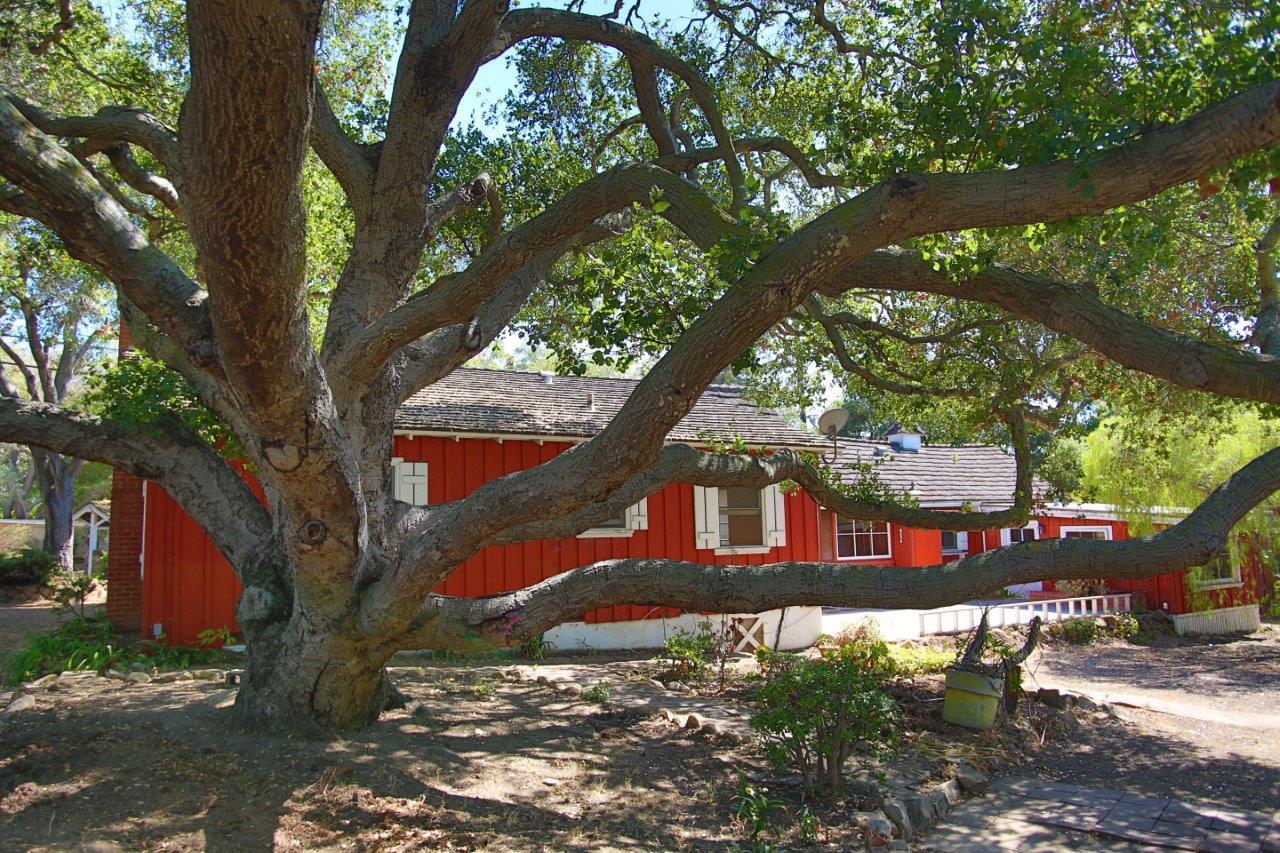2700 Foothill Road Santa Barbara, CA 93105 - Photo 4 of 17 3X4A8443 - Copy