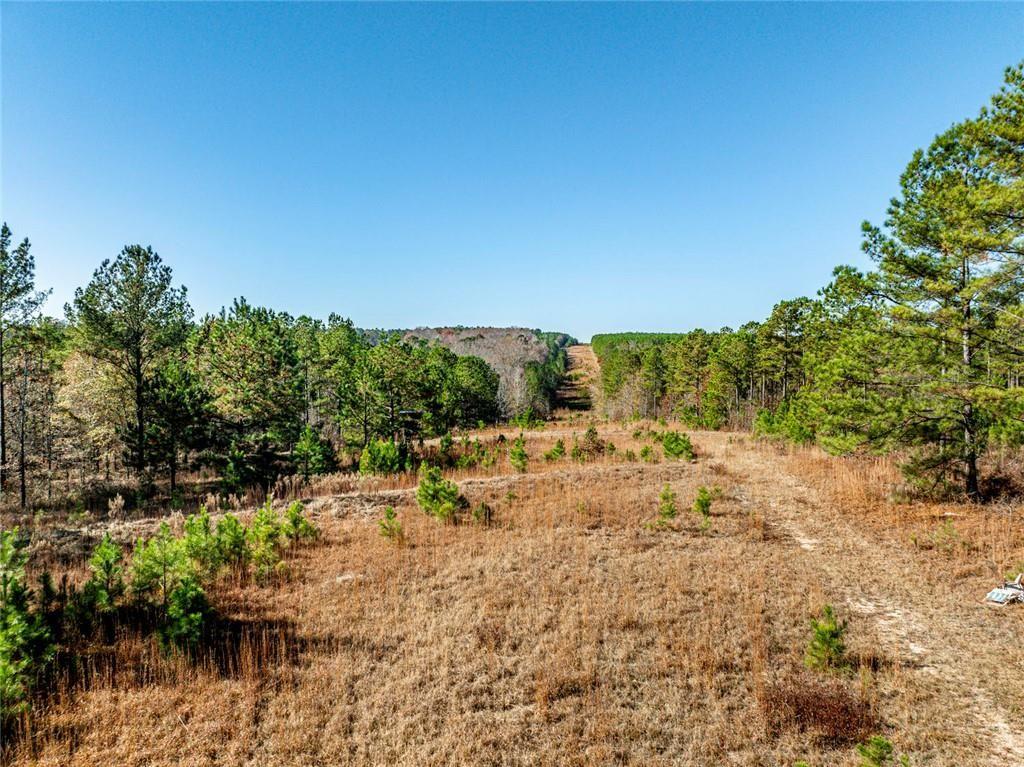 0 North Indian Trail Road Sandersville, GA 31082 - Photo 18 of 26