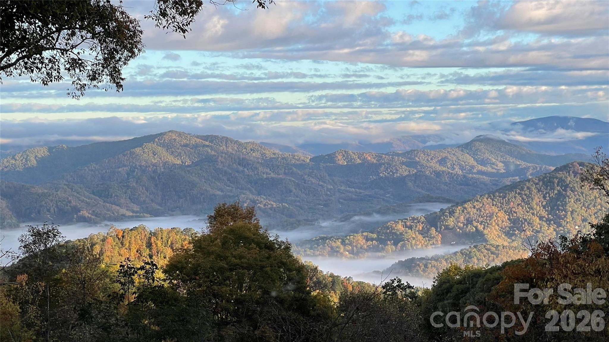 61 Ivy Ridge Road Burnsville, NC 28714 - Photo 12 of 32