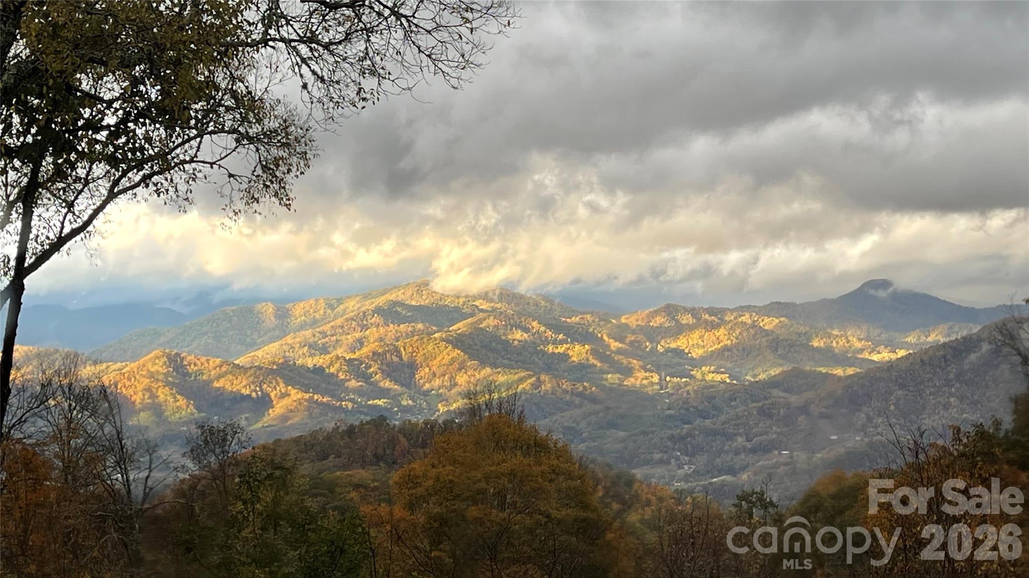 61 Ivy Ridge Road Burnsville, NC 28714 - Photo 3 of 32