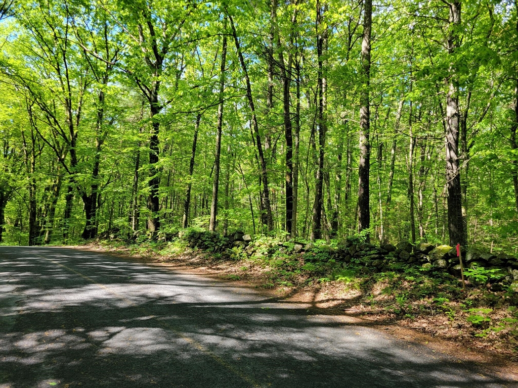 Lot 8 Daniels Road Dudley, MA 01571 - Photo 1 of 4