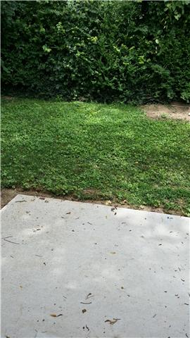 928 Glass Street Franklin, TN 37064 - Photo 19 of 20