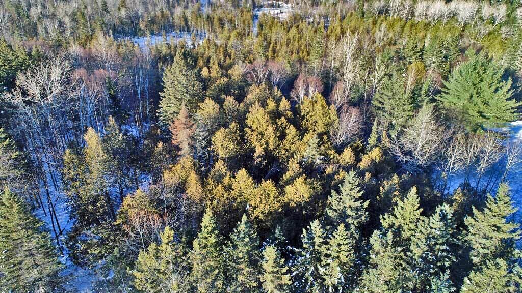 Lot 6 Ludlow Road Houlton, ME 04730 - Photo 17 of 28 land-maine-ludlow-me-7