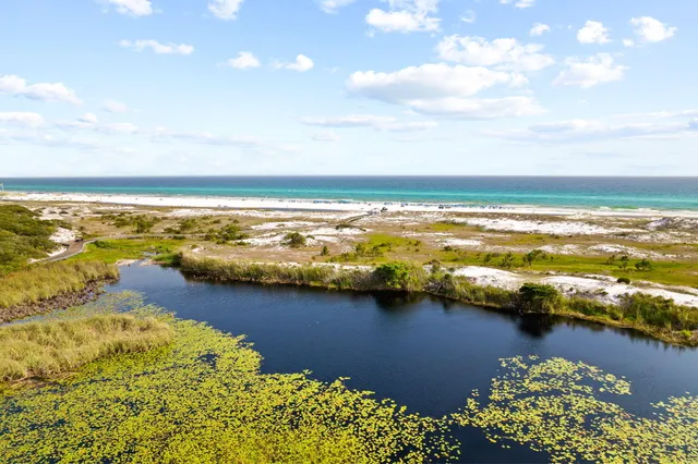 $2,450,000 | 261 Salt Lane, Inlet Beach, FL 32461