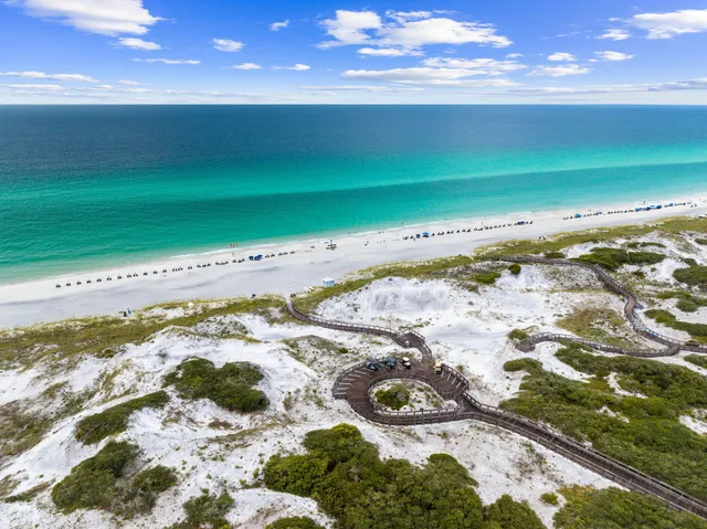 $2,450,000 | 261 Salt Lane, Inlet Beach, FL 32461