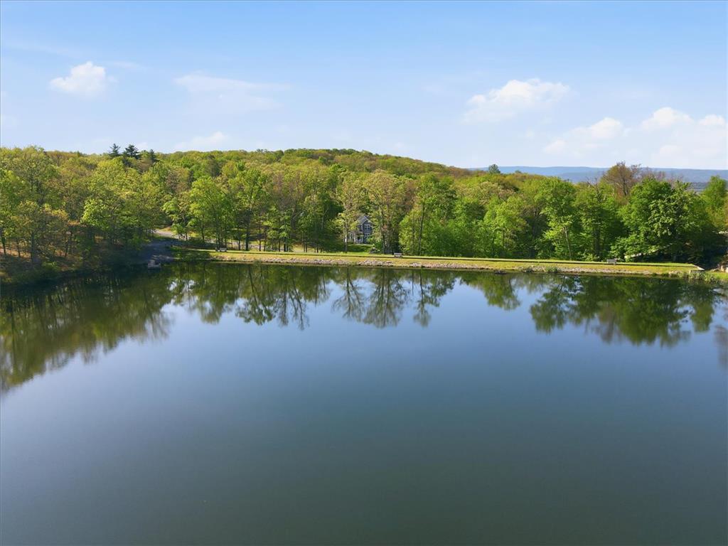 3301 Windermere Drive Bushkill, PA 18324 - Photo 68 of 93