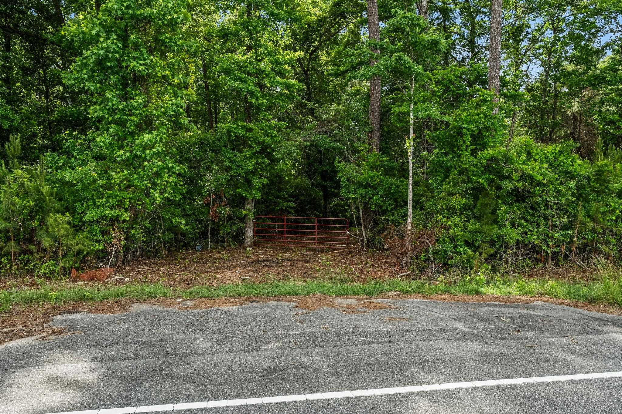 2850 Gause Road Loris, SC 29569 - Photo 15 of 24