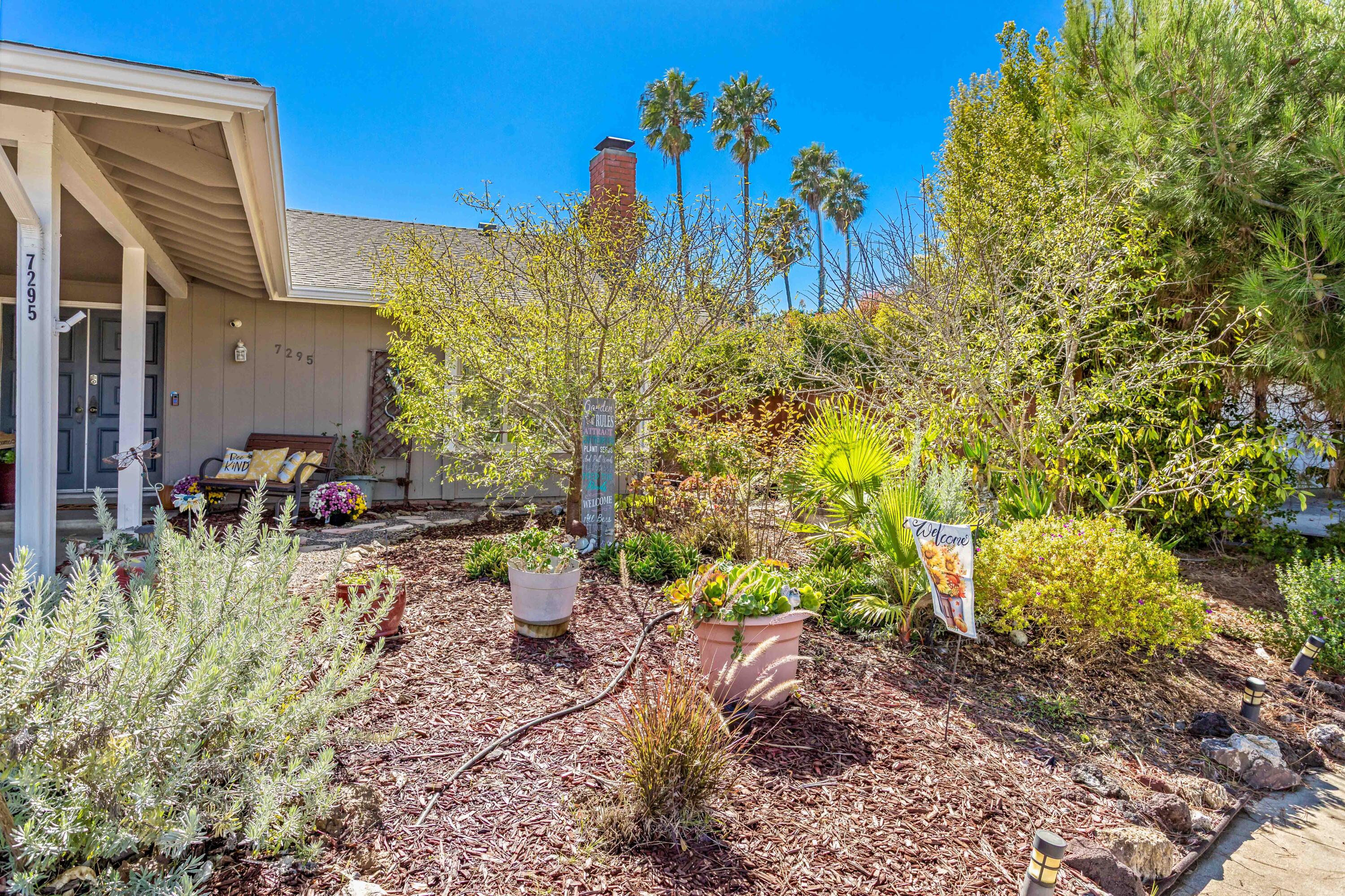 7295 Georgetown Road Goleta, CA 93117 - Photo 3 of 25 Front landscaping
