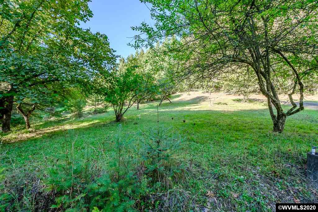 15555 Strong (next To) Road Dallas, OR 97338 - Photo 4 of 11