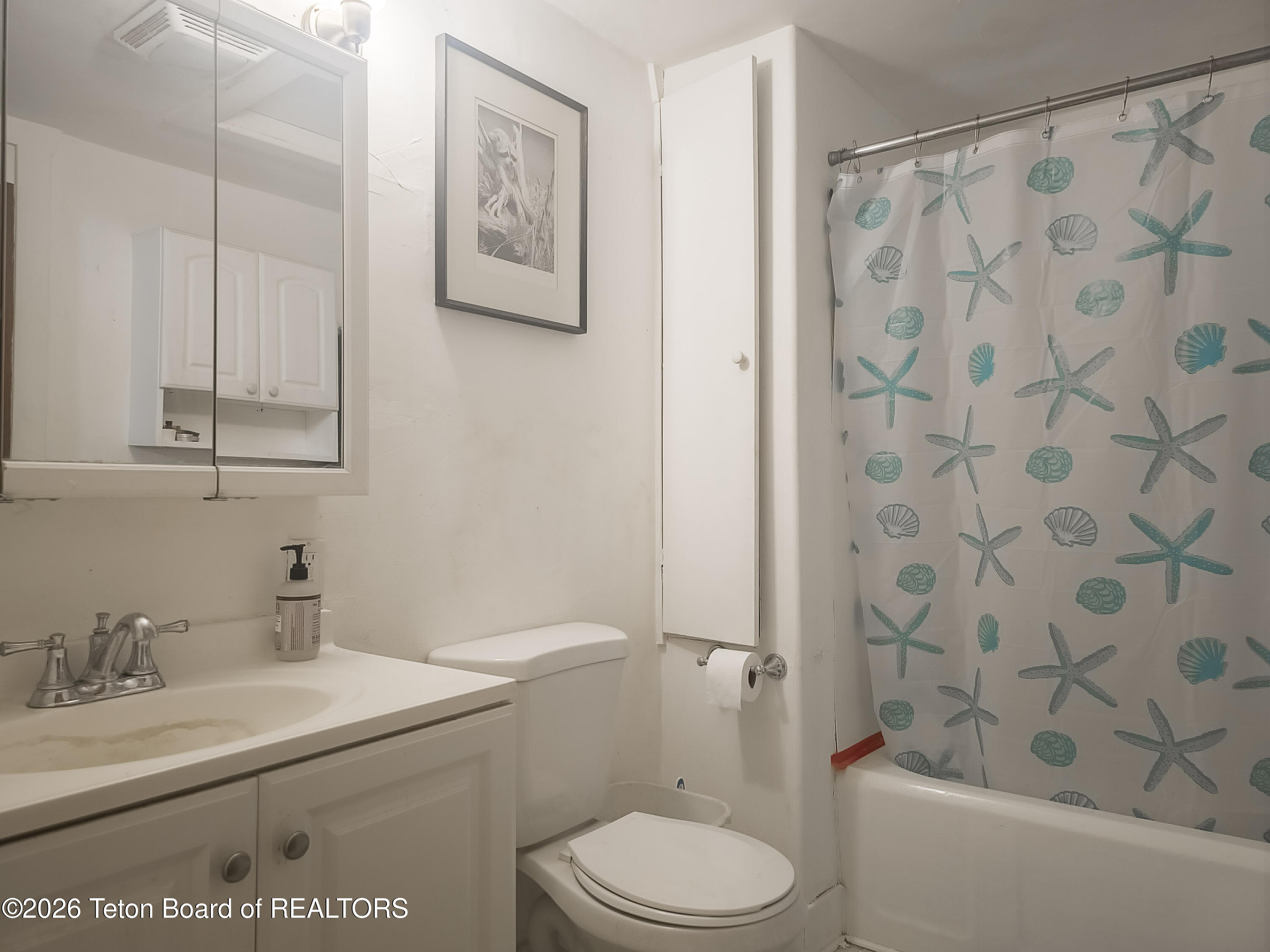 6247 South Main Street Tetonia, ID 83452 - Photo 12 of 18 09 bath