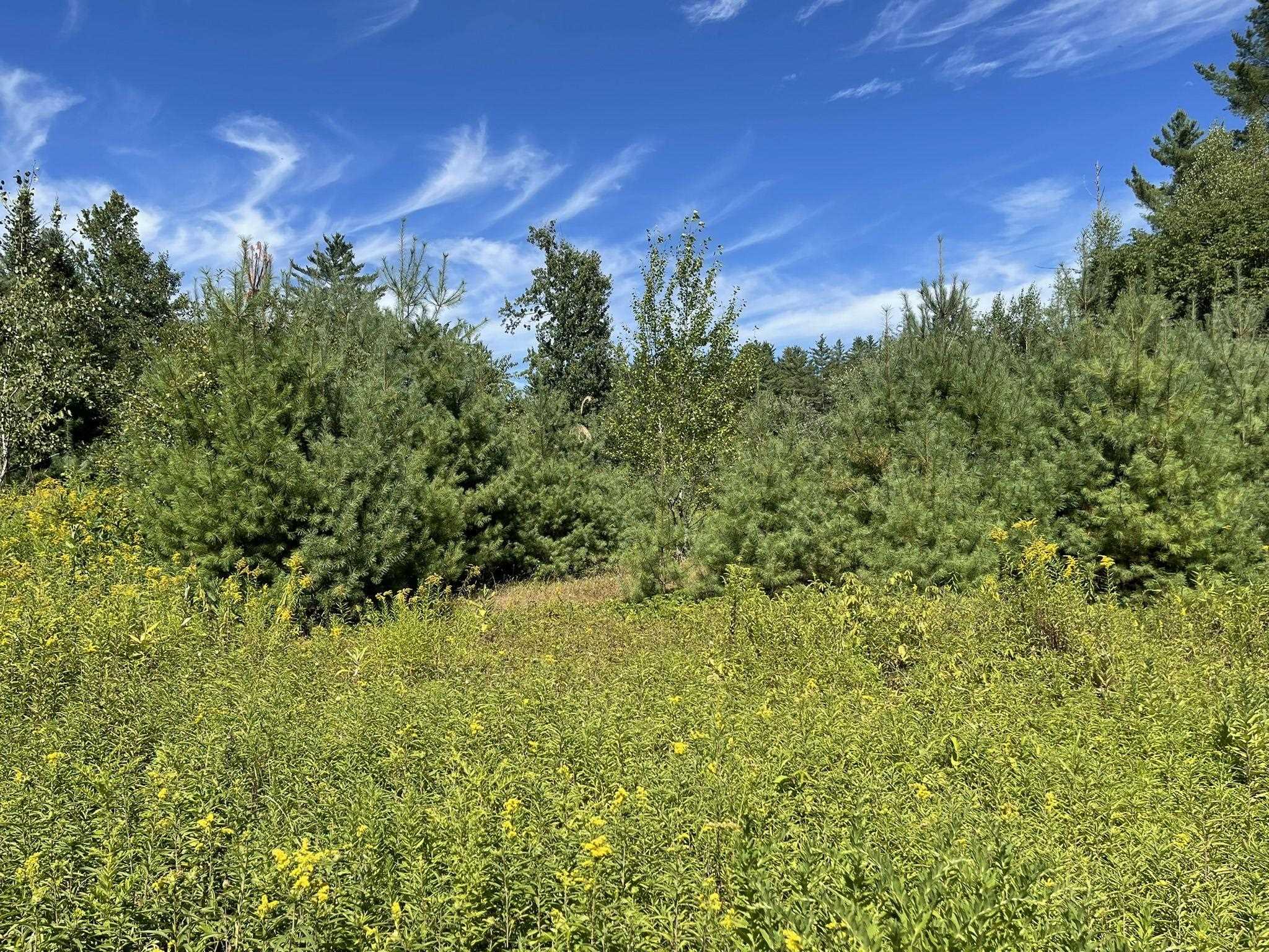 3 Us Route Lancaster, NH 03584 - Photo 6 of 11