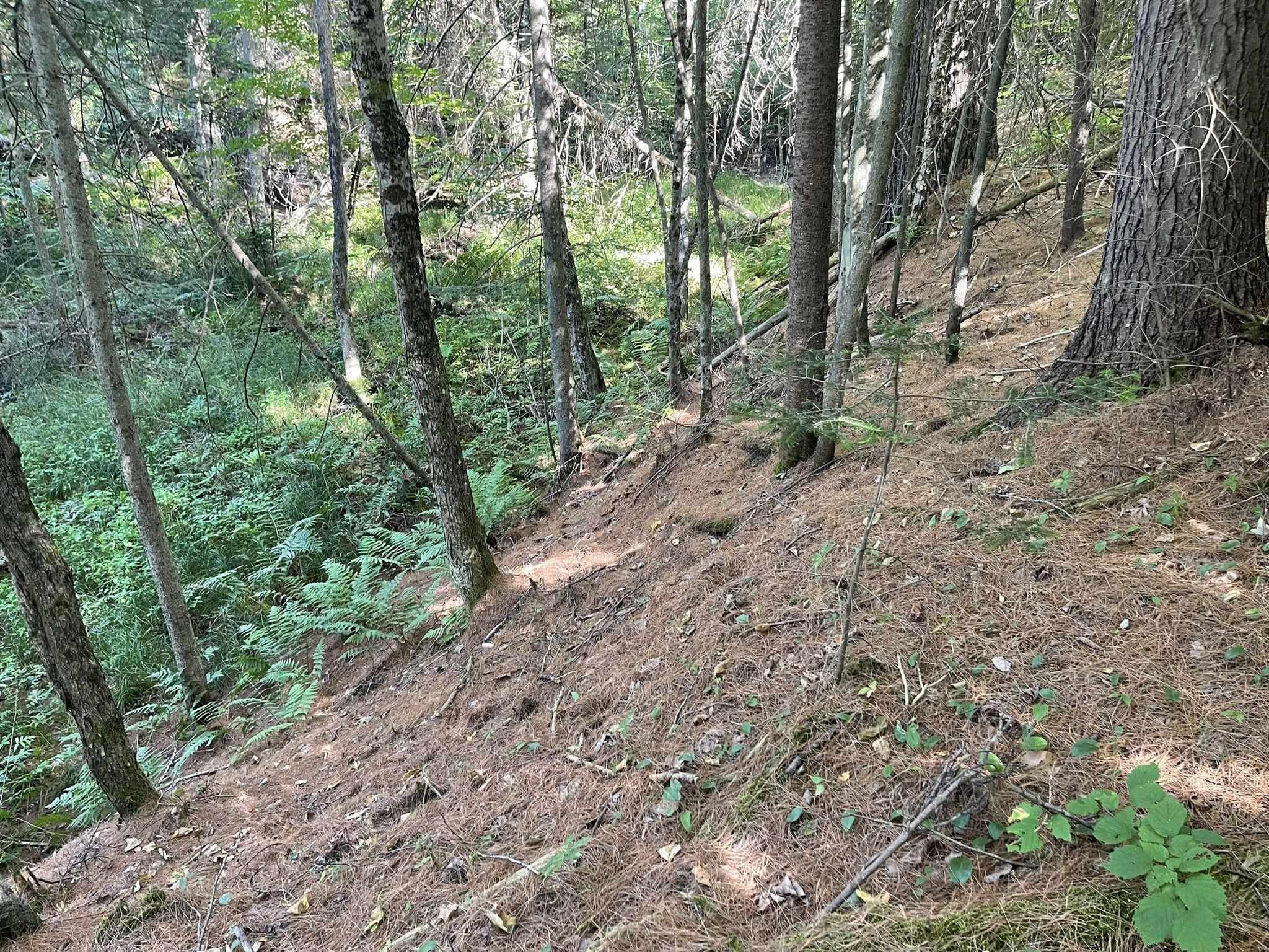3 Us Route Lancaster, NH 03584 - Photo 10 of 11