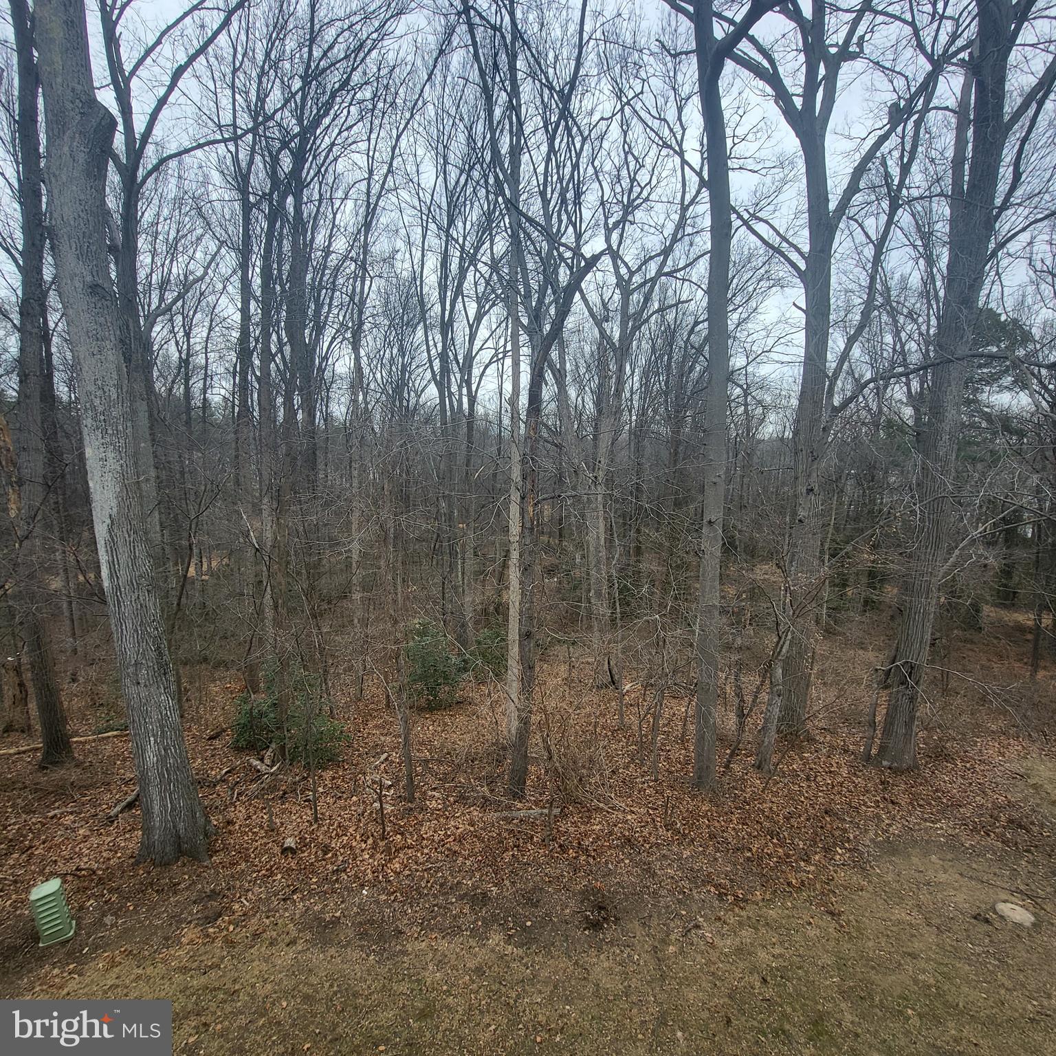5800 Cove Landing Road, Unit 303 Burke, VA 22015 - Photo 20 of 84 View from patio