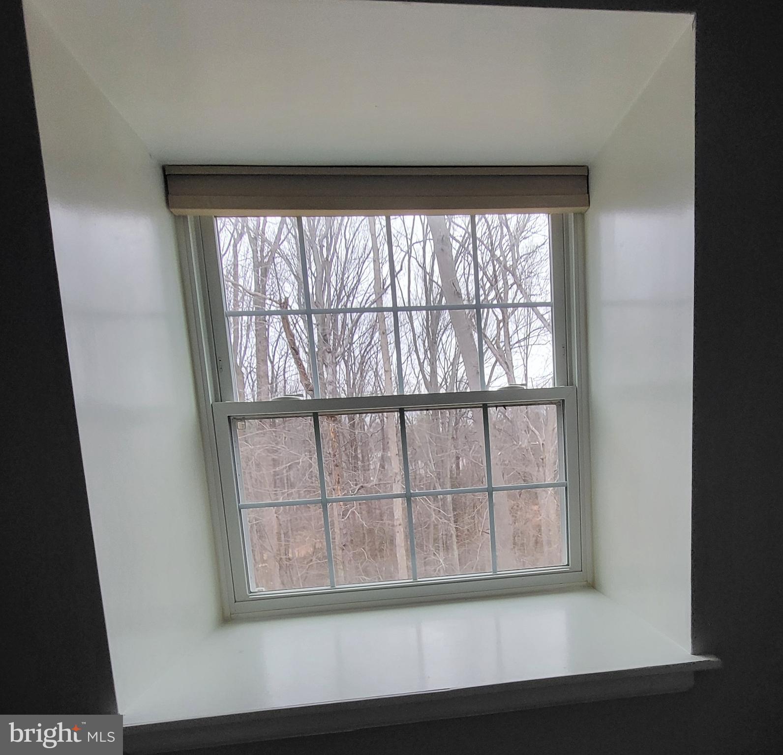 5800 Cove Landing Road, Unit 303 Burke, VA 22015 - Photo 46 of 84 View from Primary Bedroom