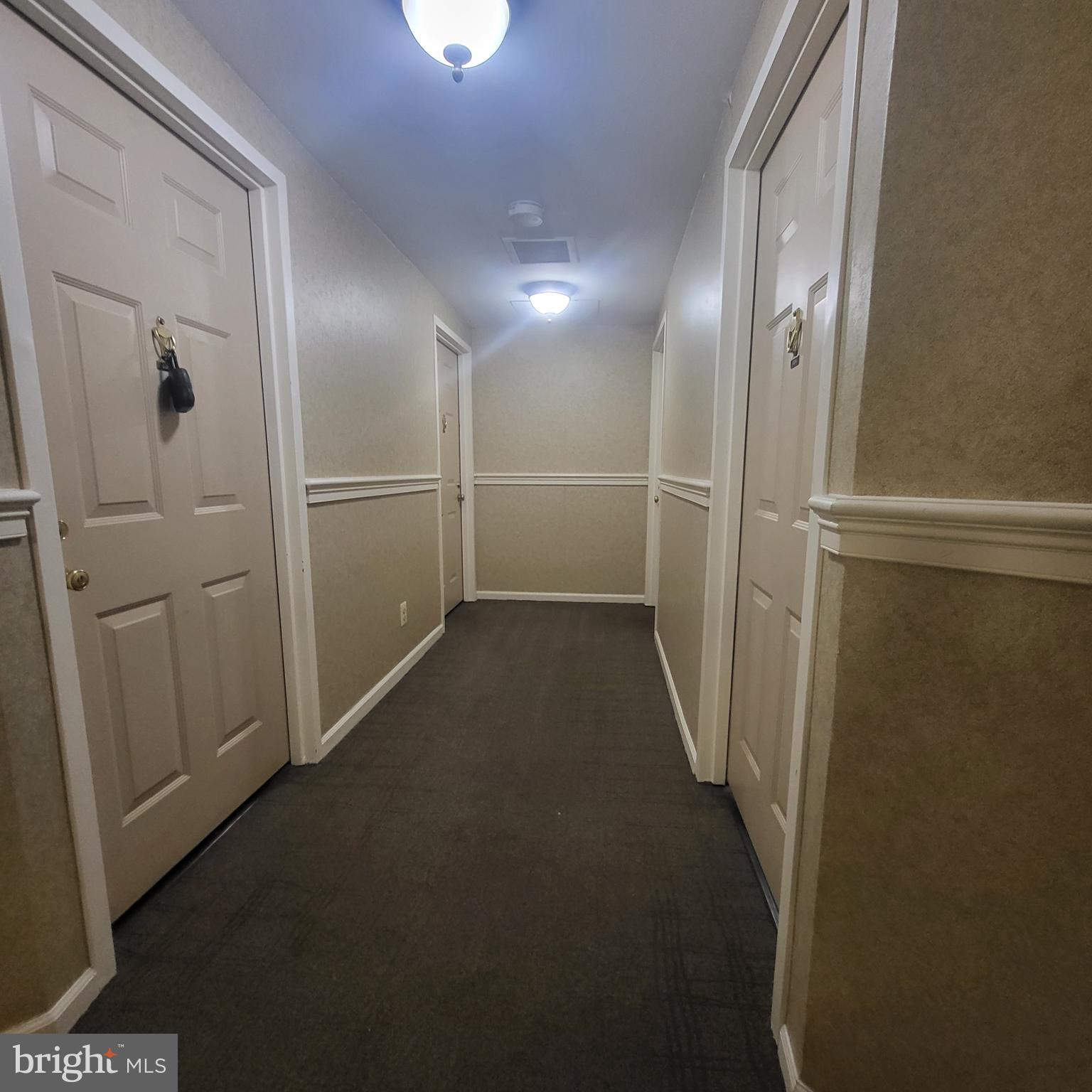 5800 Cove Landing Road, Unit 303 Burke, VA 22015 - Photo 5 of 84 Well maintained hallway