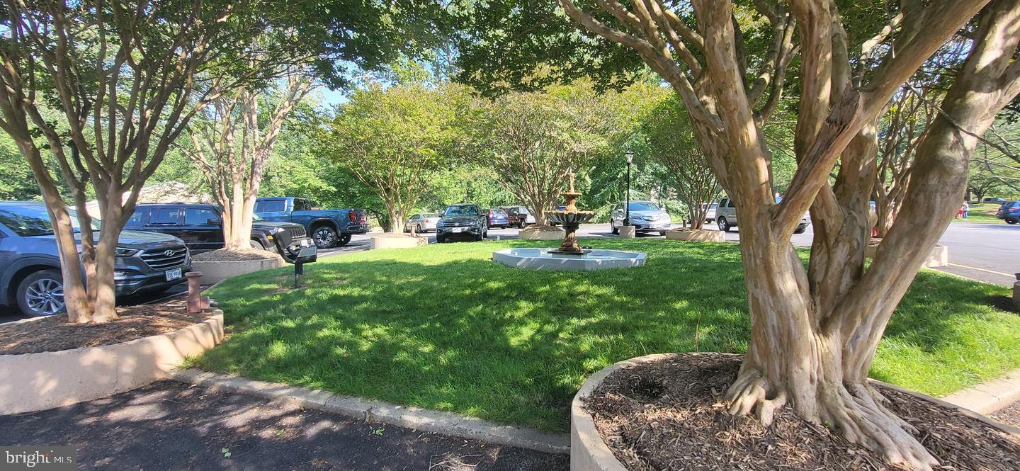 5800 Cove Landing Road, Unit 303 Burke, VA 22015 - Photo 77 of 84 a backyard of a house with table and chairs