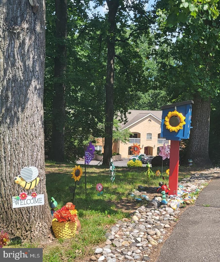5800 Cove Landing Road, Unit 303 Burke, VA 22015 - Photo 78 of 84 a view of a table and chairs in the garden