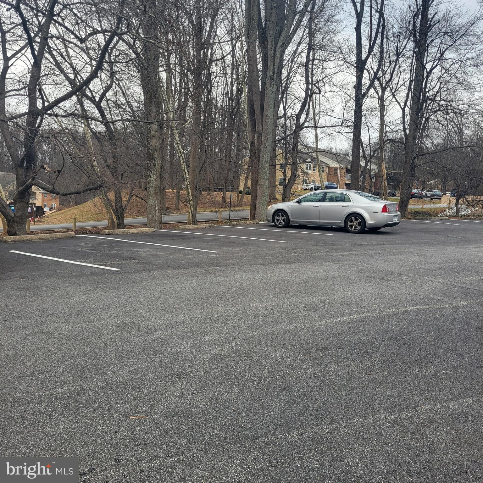 5800 Cove Landing Road, Unit 303 Burke, VA 22015 - Photo 83 of 84 More parking!