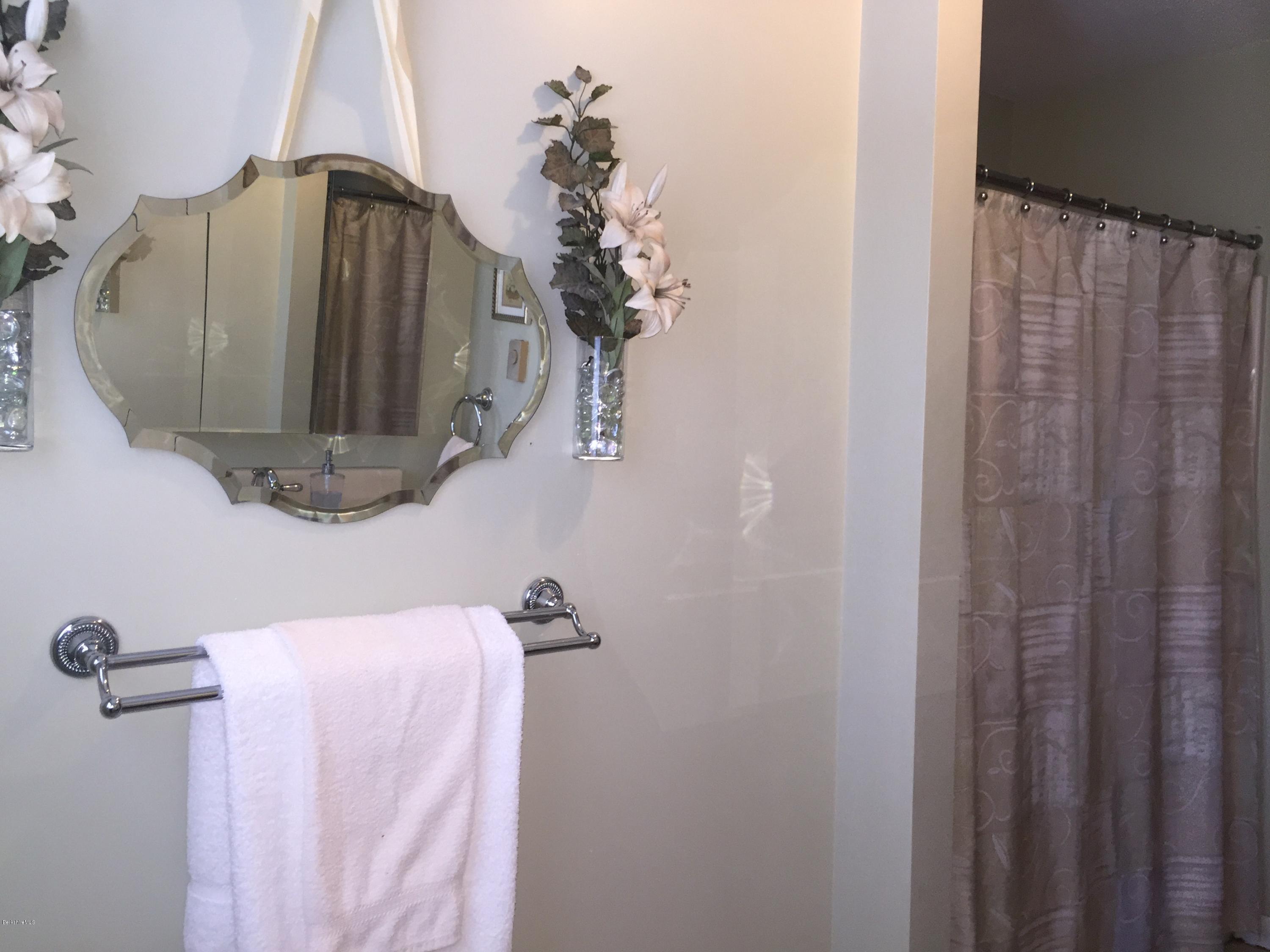 54 Winesap Road Pittsfield, MA 01201 - Photo 18 of 21 54 Winesap 10-12-2015 984