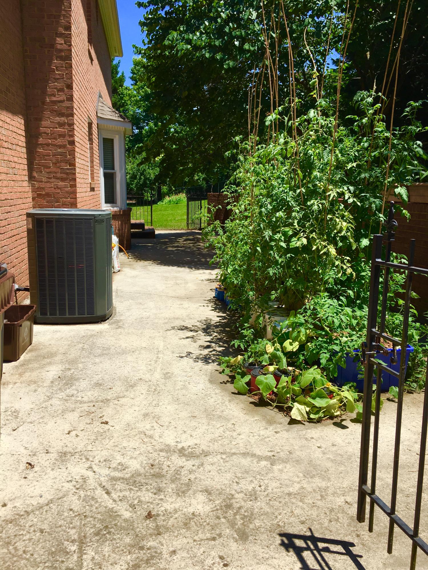 117 Capital Circle Oak Ridge, TN 37830 - Photo 33 of 40 Back Patio