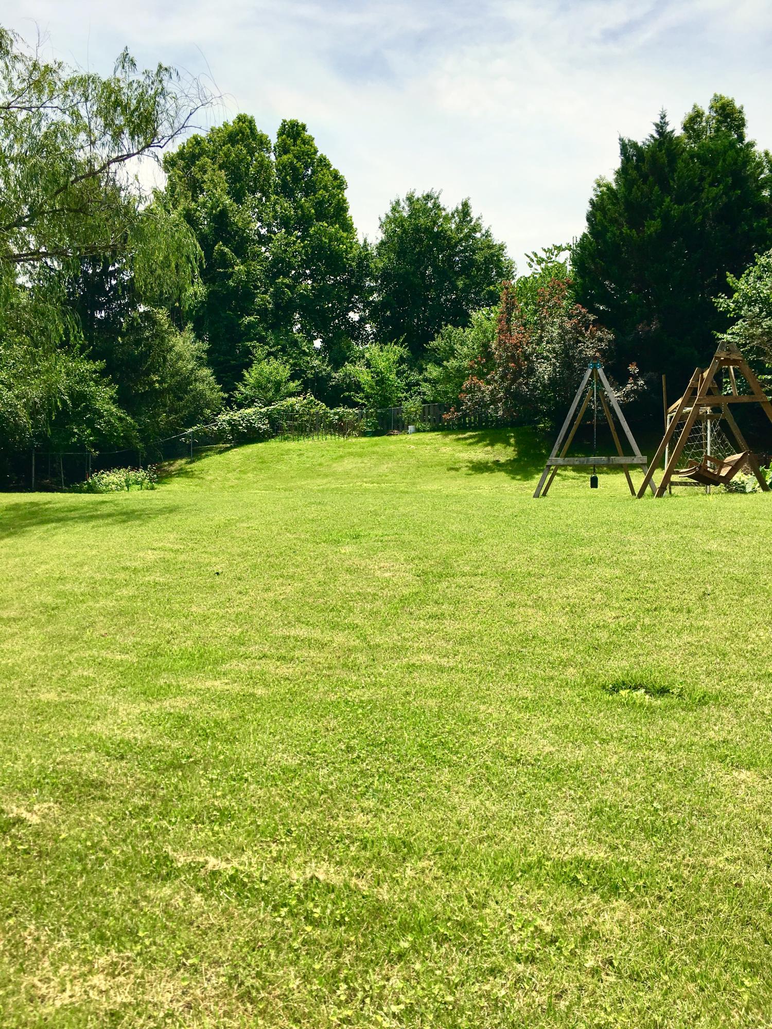 117 Capital Circle Oak Ridge, TN 37830 - Photo 35 of 40 Yard