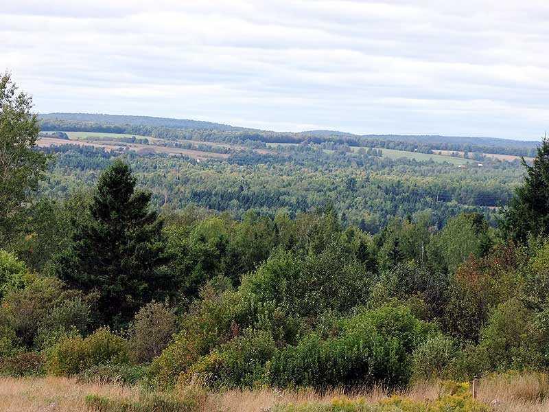Lot 18 Thompson Settlement Road Oakfield, ME 04763 - Photo 10 of 19 Land.