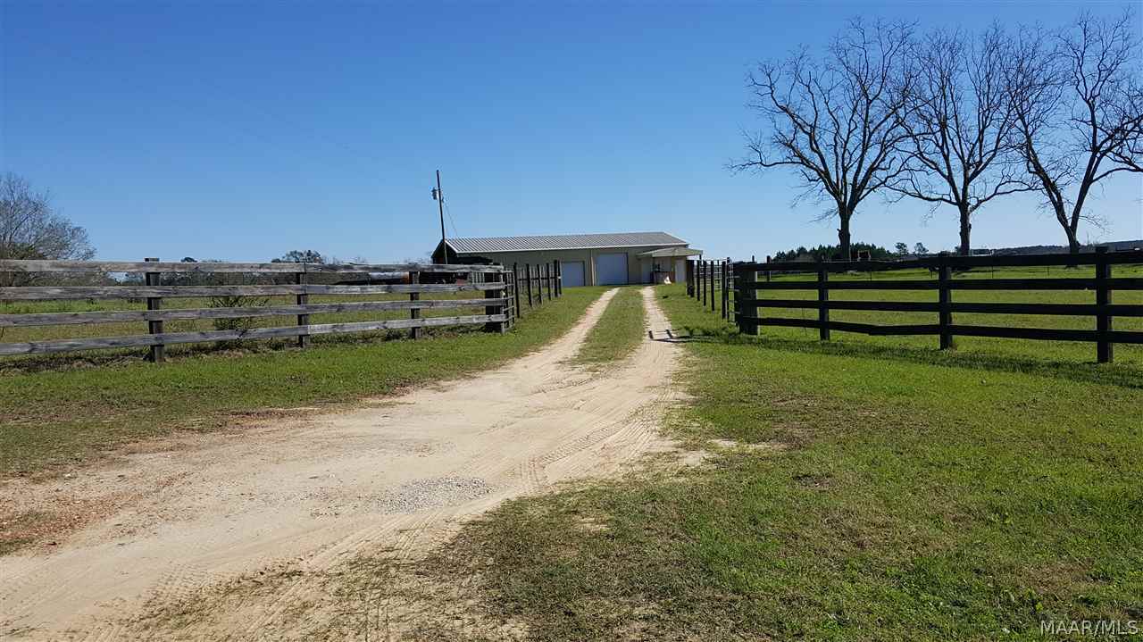 2233 Tindill Creek Road Slocomb, AL 36375 - Photo 4 of 15 Gallery Image 4