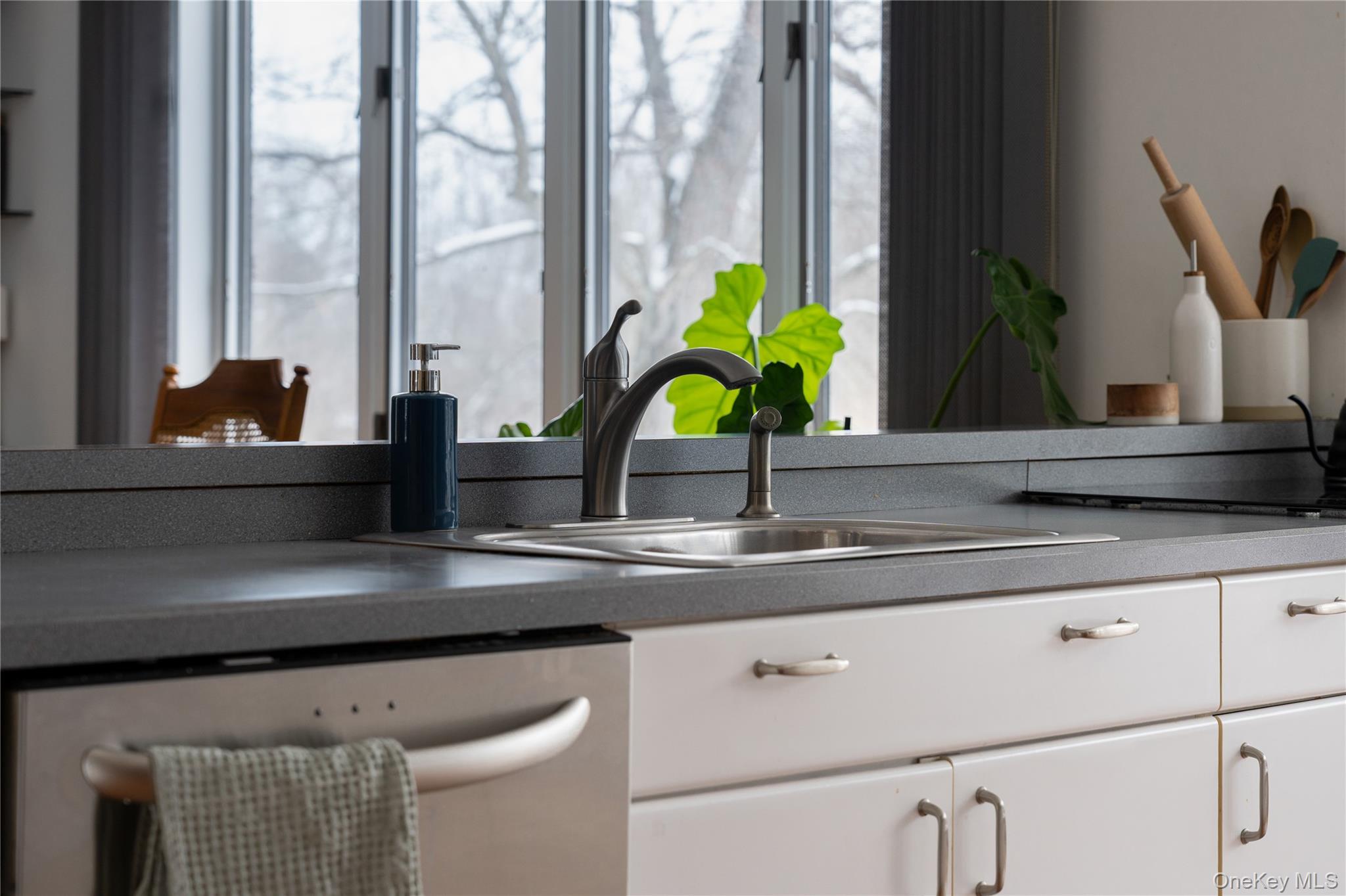 224 Last Road Middletown, NY 10941 - Photo 13 of 39 a sink with a potted plant on a counter top and a potted plant