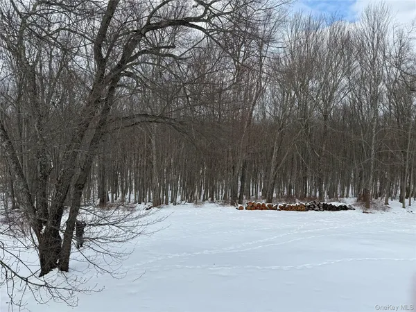 $5,000 | 224 Last Road, Middletown, NY 10941
