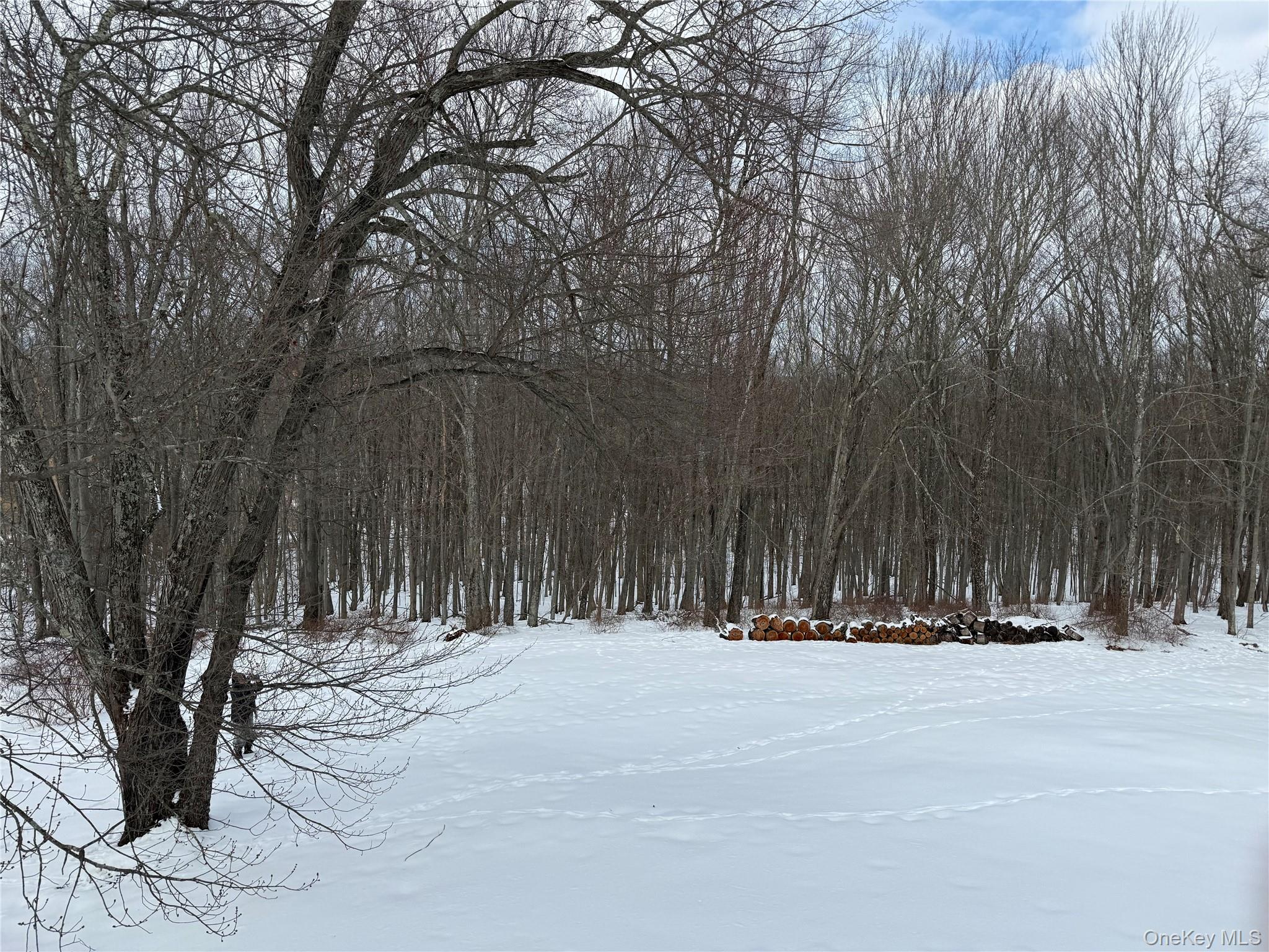 224 Last Road Middletown, NY 10941 - Photo 39 of 39 a view of road with a trees
