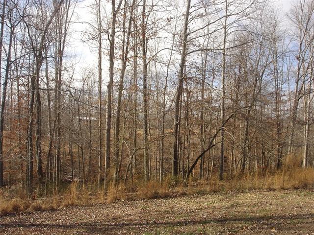 2564 Lanning Road Lawrenceburg, TN 38464 - Photo 17 of 20 a view of a yard