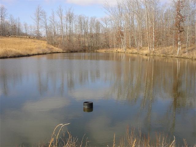 2564 Lanning Road Lawrenceburg, TN 38464 - Photo 19 of 20 a view of a lake view