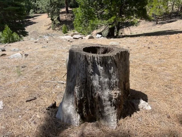 $69,000 | 8540 Primrose Lane, Portola, CA 96122