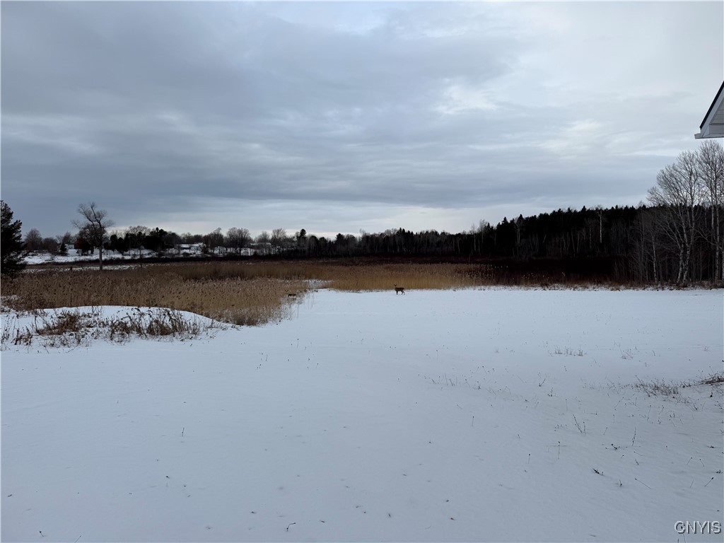 27 Cedar Street Norfolk, NY 13668 - Photo 4 of 46