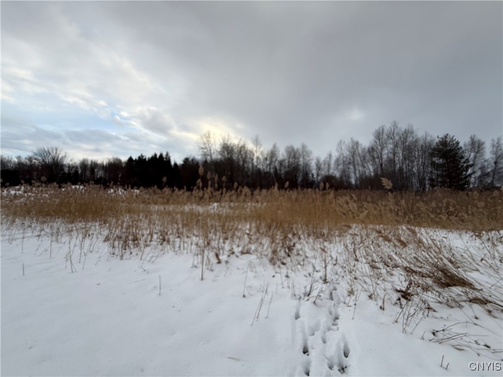 27 Cedar Street Norfolk, NY 13668 - Photo 44 of 46