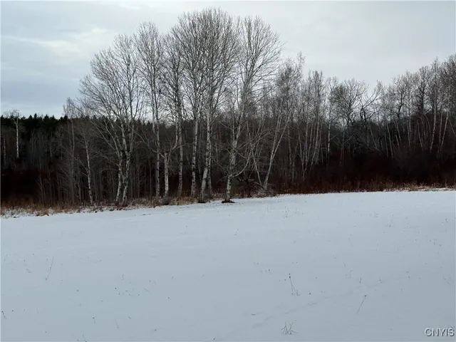 $168,000 | 27 Cedar Street, Norfolk, NY 13668