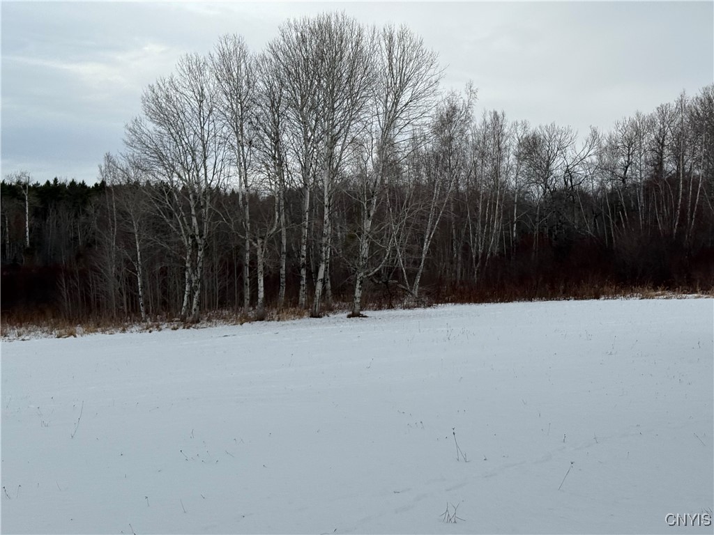 27 Cedar Street Norfolk, NY 13668 - Photo 46 of 46