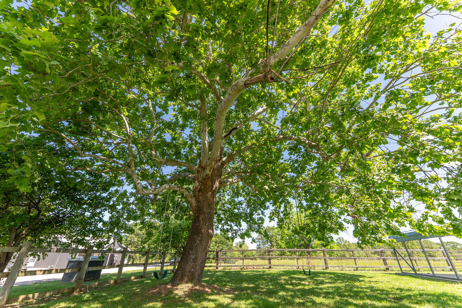 1145 Broadleaf Road Mammoth Spring, AR 72554 - Photo 20 of 77 20 acre hobby farm017