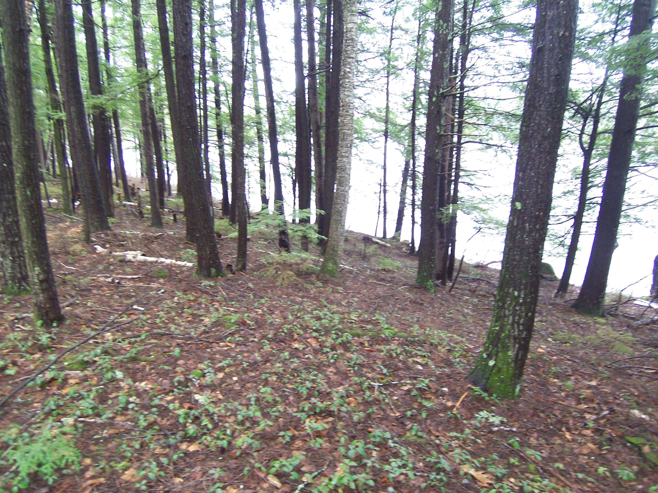 14-2 Shore Road Otisfield, ME 04270 - Photo 4 of 16 105_5893