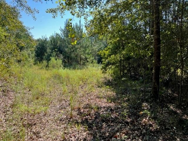 30-ac Union Grove Road Opp, AL 36467 - Photo 1 of 25 Gallery Image 1