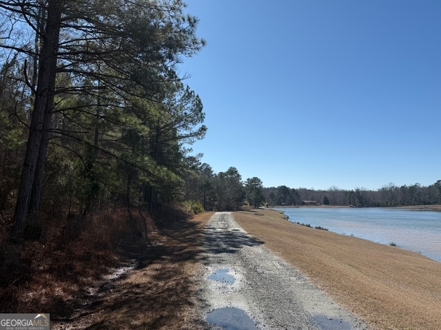 7.725-ac Slalom Pass Forsyth, GA 31029 - Photo 11 of 24