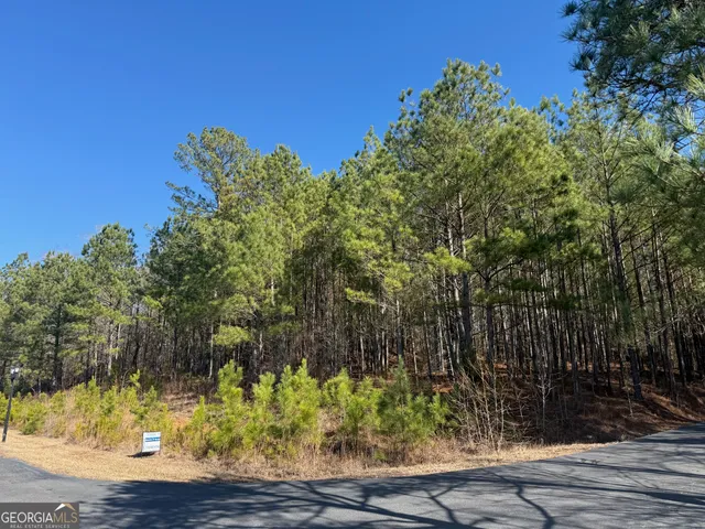 $139,900 | 7.725-ac Slalom Pass, Forsyth, GA 31029
