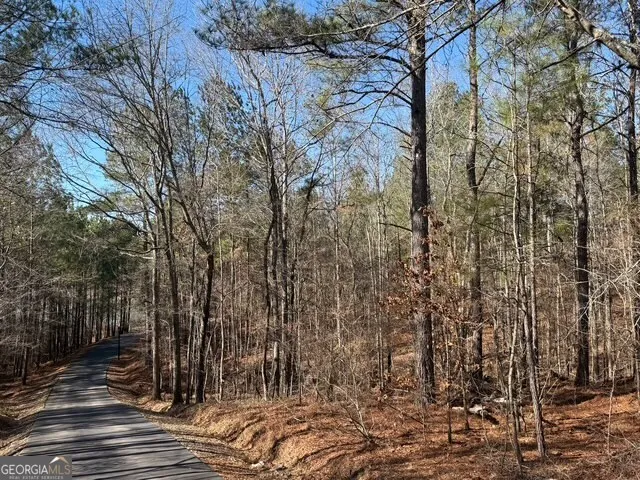 $139,900 | 7.725-ac Slalom Pass, Forsyth, GA 31029