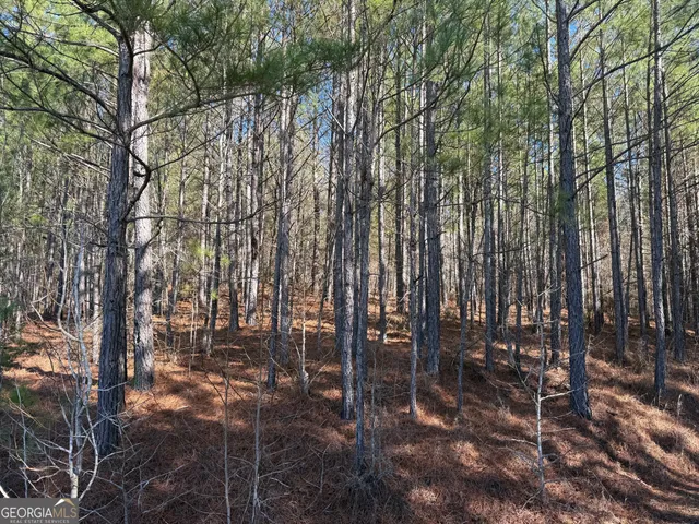 $139,900 | 7.725-ac Slalom Pass, Forsyth, GA 31029